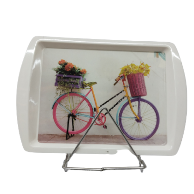 Cycle Printed Dinner Tray