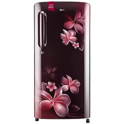 LG Single Door Scarlet Plumeria Fridge